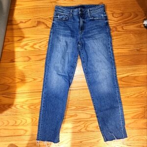 Joe's Jeans "The Niki" Midrise Boyfriend